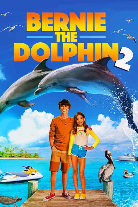 BERNIE THE DOLPHIN